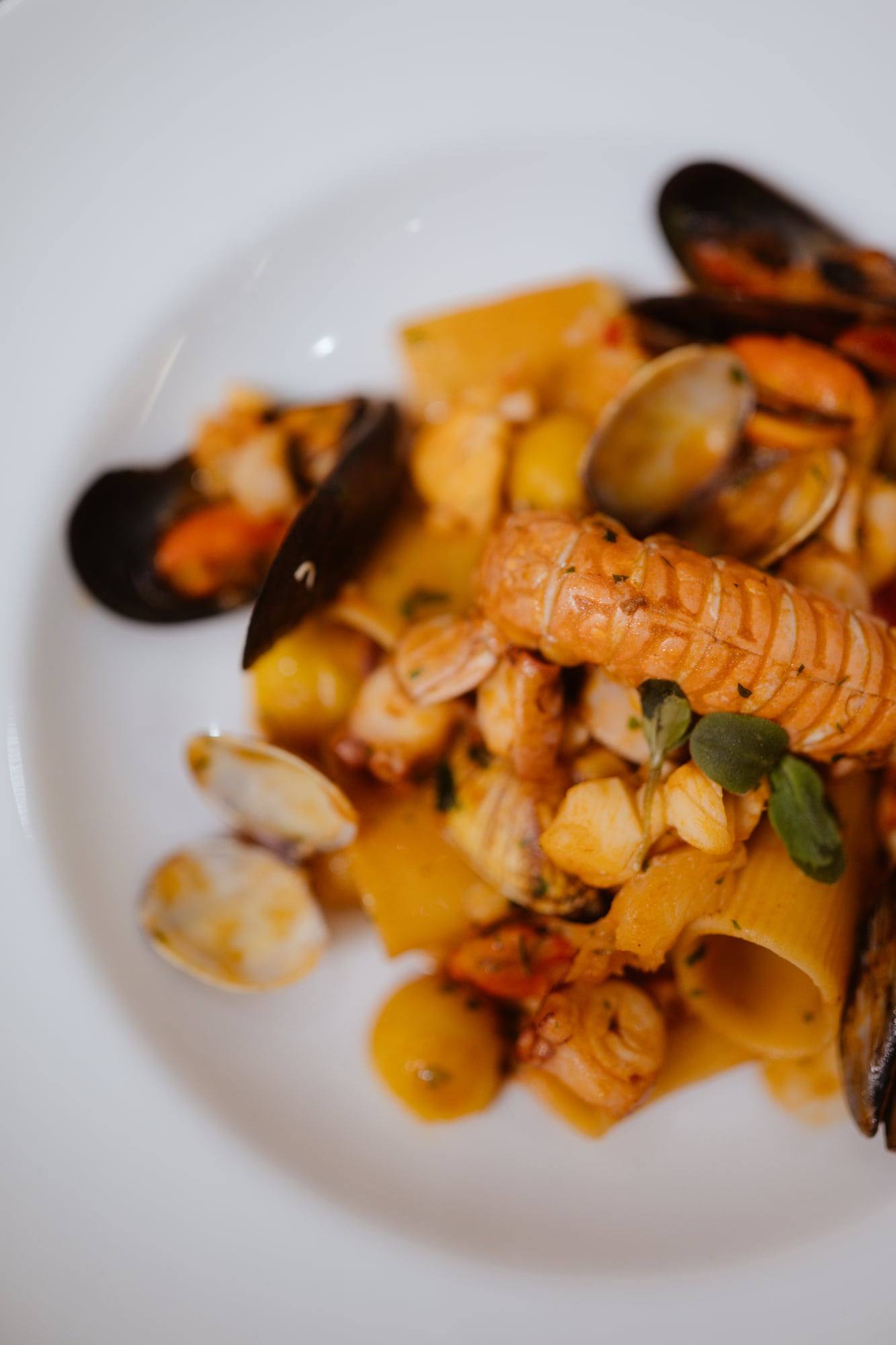 Pasta mit Muscheln und Scampi auf einem weißen Teller